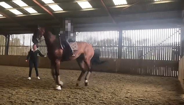 Charlotte Dujardin retirada das Olimpíadas de Paris 2024: vídeo angustiante mostra chicoteando seu cavalo